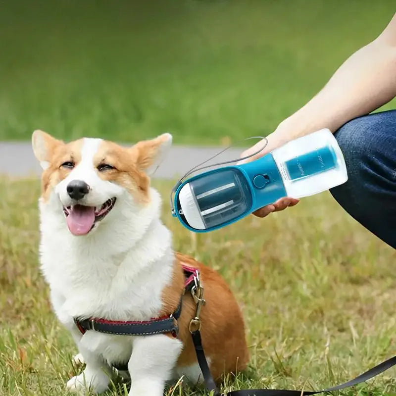 3-in-1 portable pet cup, blue water dispenser held near dog outdoors