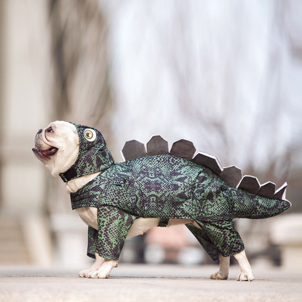 Disfraz de dinosaurio para perro y gato – Traje divertido para mascotas