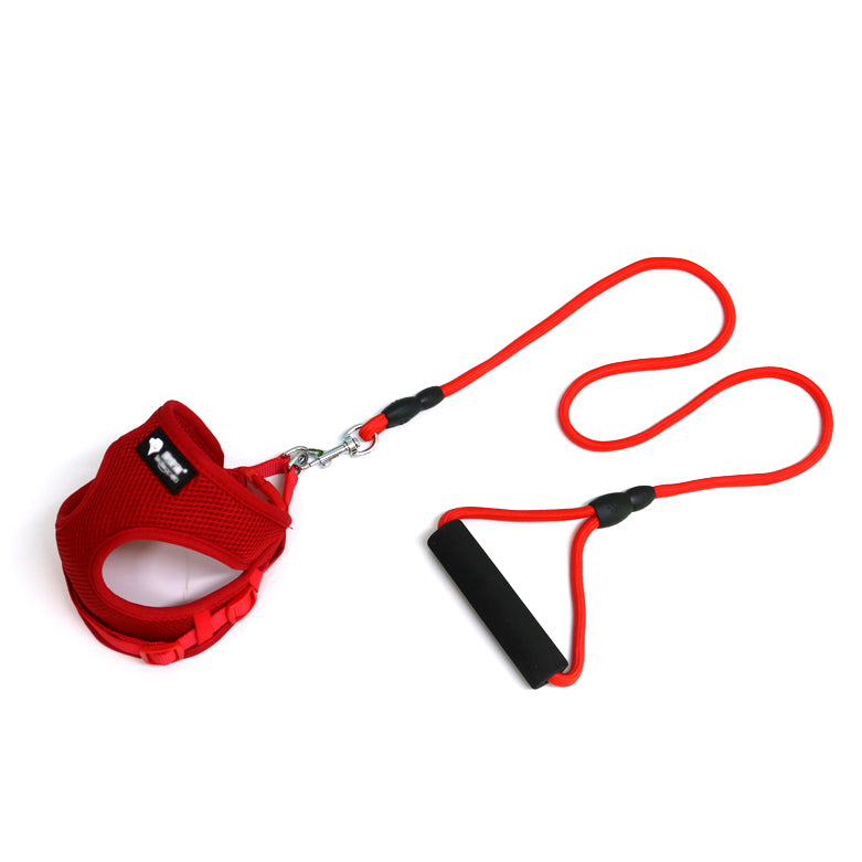 Mesh dog harness and leash set with foam handle, red straps and black clips