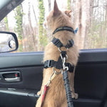 Adjustable Reflective Dog Seat Belt – Elastic Safety Harness for Car Travel