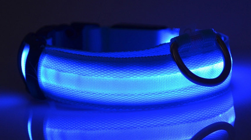 GlowPaws Nylon LED Dog Collar - Adjustable Luminous Leash for Night Safety & Visibility