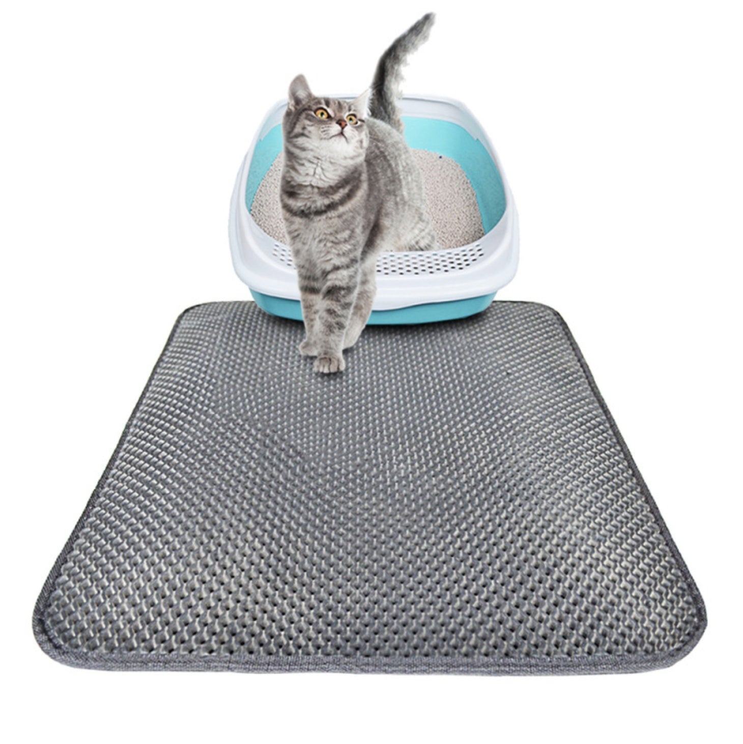 Grey cat standing beside a litter box on a black textured mat