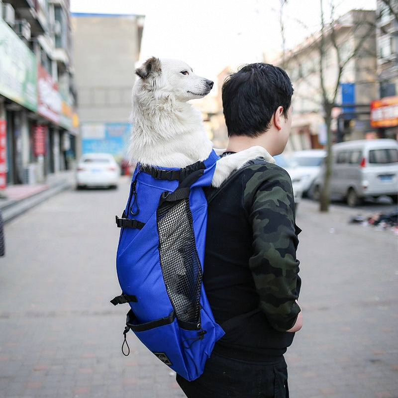 Pet dog carrier backpack with mesh panel, blue exterior and black harness straps