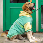 Large Dog Sweater – Warm Pet Clothes & Apparel