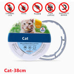 PetSafe Insect Repellent Collar for Dogs & Cats – Effective Protection Against Pests
