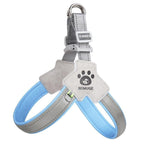 Pawsitive Vibes Adjustable No-Pull Pet Harness & Leash Set – Comfortable, Reflective, Easy Control for Training & Walking