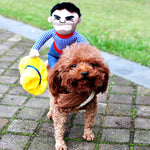 Dog Halloween costume with orange wig only; no overalls or sleeves visible