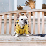 Waterproof Dog Raincoat – Rain Pet Clothes