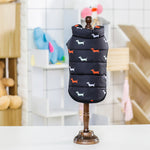 Dog Clothes & Pet Supplies – Everyday Pet Outfit