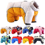 Thick Down Dog Winter Jacket – Teddy Cotton Coat