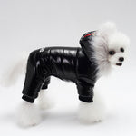 Teddy Dog Clothes – Soft Everyday Pet Outfit