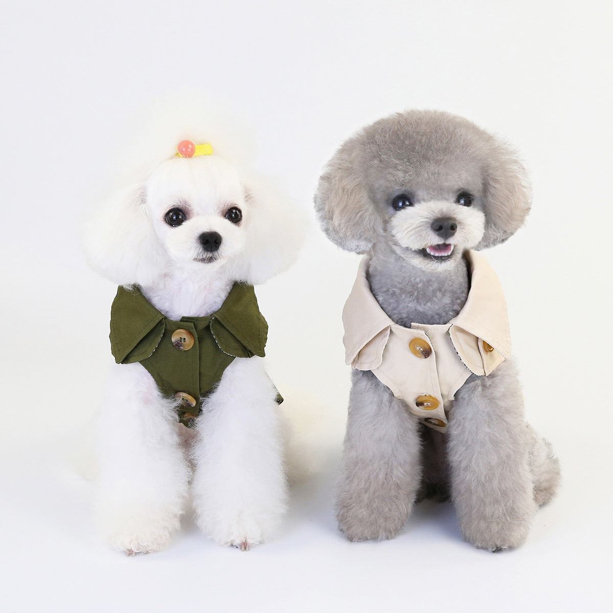 Cute Pet Clothes – Everyday Dog & Cat Wear
