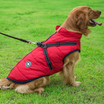 Hooded Winter Dog Coat for Chihuahua, Pug & Small Dogs