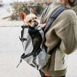 Pet dog carrier backpack with mesh opening, black straps, light gray exterior