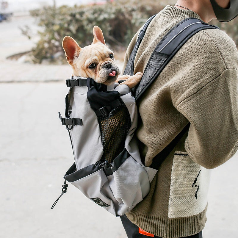 Pet dog carrier backpack with mesh opening, black straps, light gray exterior