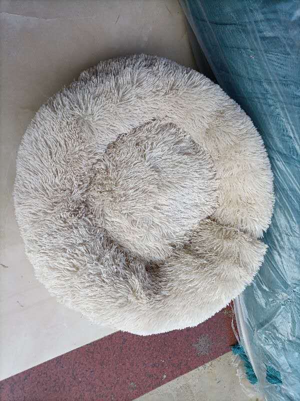 Round shaggy pet sleep bed in off-white, with plush rim and inner nest hollow