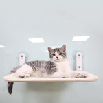 Hammock Haven Cat Litter Suction Cup Window Perch for All Seasons