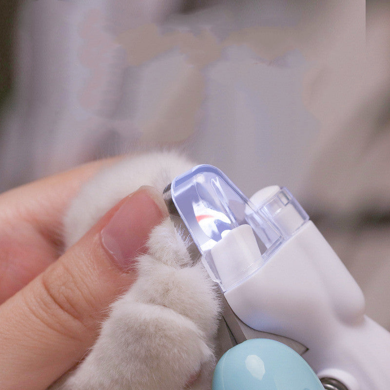 Pet LED nail grinder with clear LED shield, held near a pet paw
