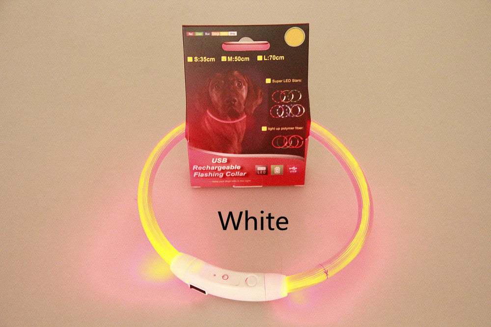 USB rechargeable flashing LED pet collar on display with white light ring