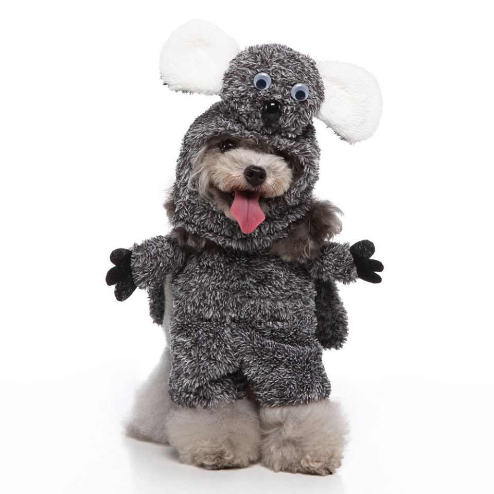 European-Style Dog & Pet Clothing – Fashion Pet Outfit