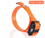 PawTech Remote Control Dog Training Collar with Adjustable Sensitivity & Vibration Mode