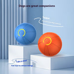 Jumping Joy Electric Dog Ball - Automatic Teasing & Luminous Fun for Active Pets
