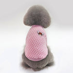 Trendy Pet Clothes – Stylish Dog & Cat Fashion