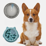 Blue-green slow feeder pet bowl with anti-gulp ridges and bumps