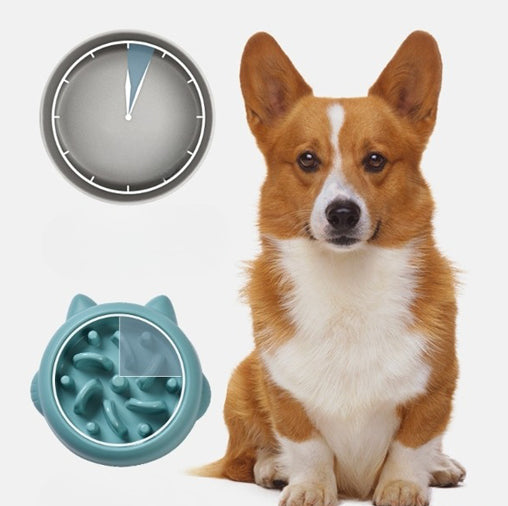 Blue-green slow feeder pet bowl with anti-gulp ridges and bumps