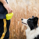 Yellow pet treat waist bag held for dog training rewards