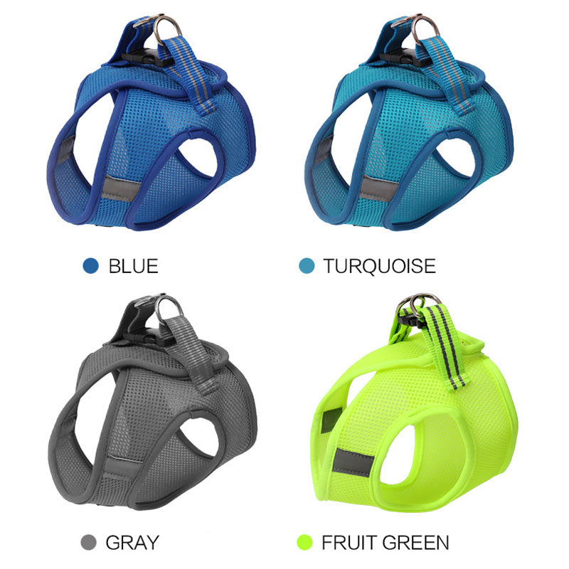 PawGuard Anti-Strike Cat Harness - Ultimate Traction for Adventurous Cats