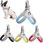 Pawsitive Vibes Adjustable No-Pull Pet Harness & Leash Set – Comfortable, Reflective, Easy Control for Training & Walking