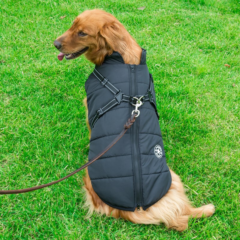 Hooded Winter Dog Coat for Chihuahua, Pug & Small Dogs