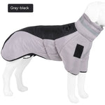 Dog waterproof winter coat, gray body with black padded back and hood collar