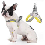 Pawsitive Vibes Adjustable No-Pull Pet Harness & Leash Set – Comfortable, Reflective, Easy Control for Training & Walking