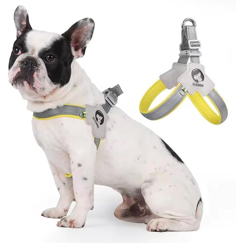 Pawsitive Vibes Adjustable No-Pull Pet Harness & Leash Set – Comfortable, Reflective, Easy Control for Training & Walking