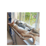 Cat window hammock perch with suction cups, tan fabric hammock and two resting cats