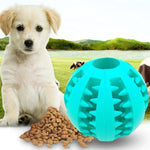 Pet Slow Feeder Dog Toy – Non-Toxic Rubber Treat Ball