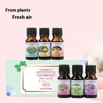 Fragrant Stone Aromatherapy Humidifier Water Soluble Combination Plant Sweet Orange Aromatherapy Oil