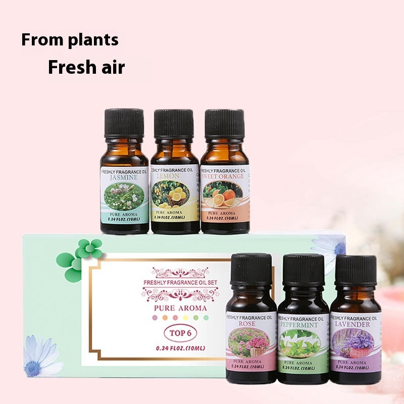 Fragrant Stone Aromatherapy Humidifier Water Soluble Combination Plant Sweet Orange Aromatherapy Oil