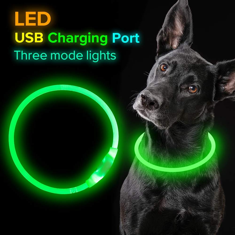 Collar LED intermitente para mascotas – Collar luminoso recargable USB para seguridad nocturna