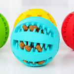 Pet Slow Feeder Dog Toy – Non-Toxic Rubber Treat Ball