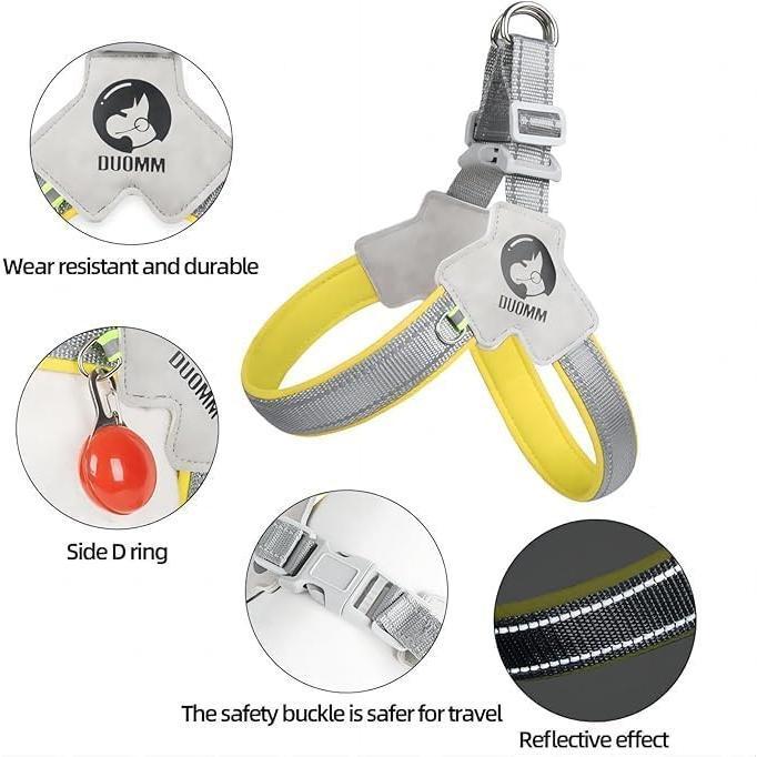 Pawsitive Vibes Adjustable No-Pull Pet Harness & Leash Set – Comfortable, Reflective, Easy Control for Training & Walking