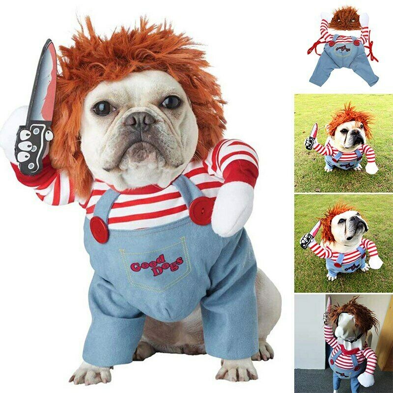 Dog Halloween costume: orange wig, striped sleeves, light-blue overalls with Good Dogs patch