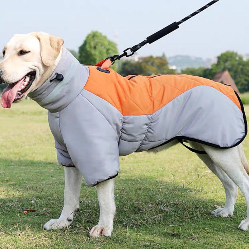 Dog waterproof winter coat, gray body with orange padded panel and black trim