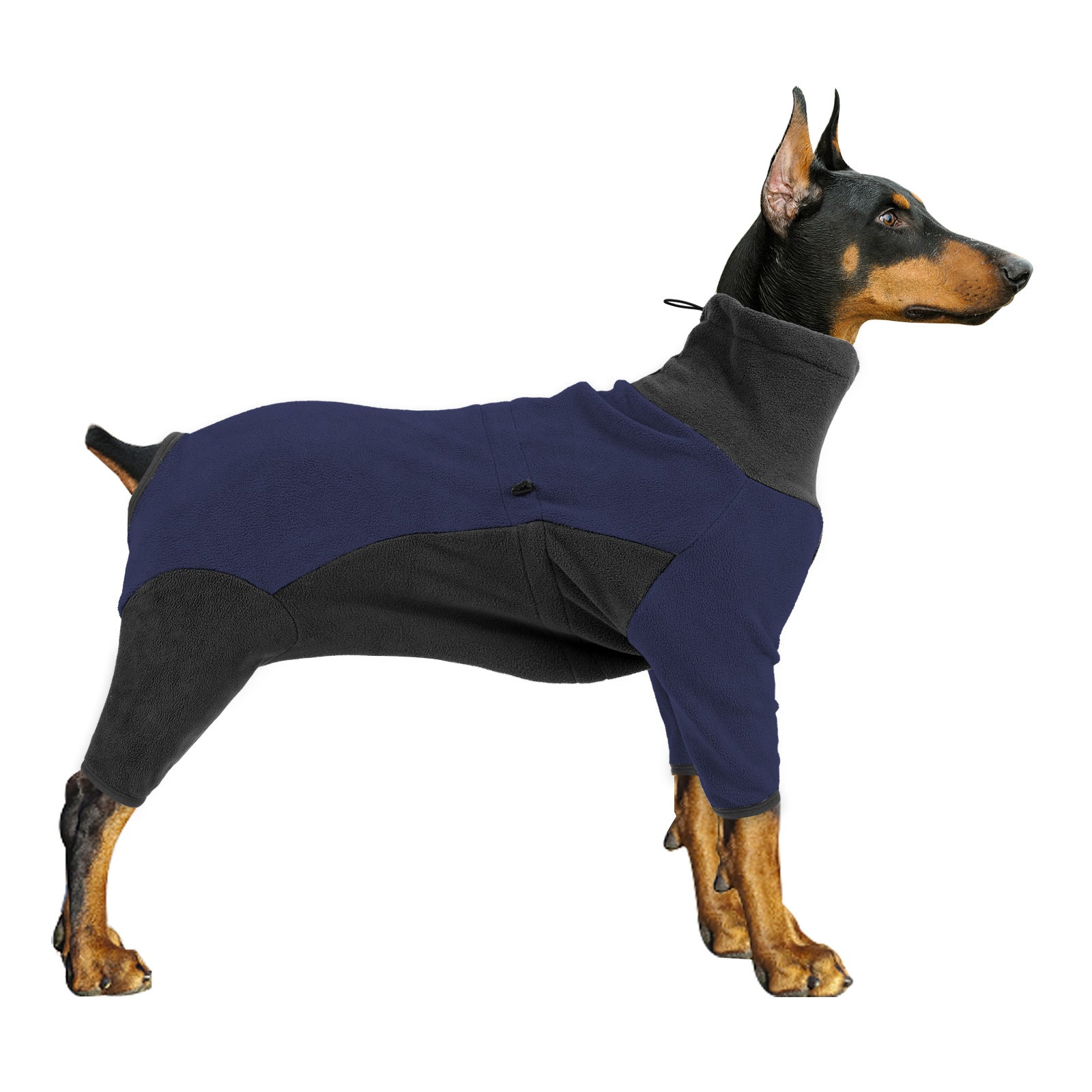 Cold-Proof Winter Dog Coat – Warm Pet Clothes