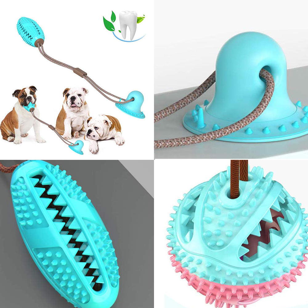Teal suction cup tug dog toy with long rope and spiky chew ring
