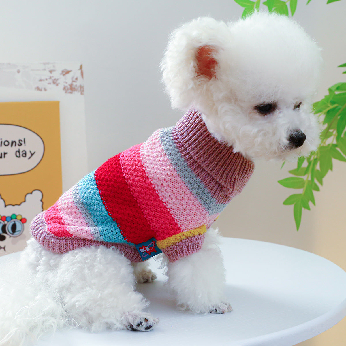Colorful Stripes Pet Ring Sweater - Soft Comfort for Your Furry Friend