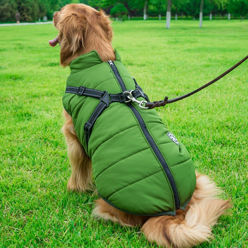 Hooded Winter Dog Coat for Chihuahua, Pug & Small Dogs