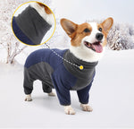 Cold-Proof Winter Dog Coat – Warm Pet Clothes